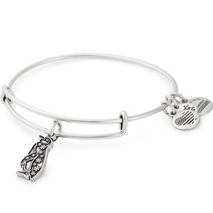 New Alex and Ani bracelet